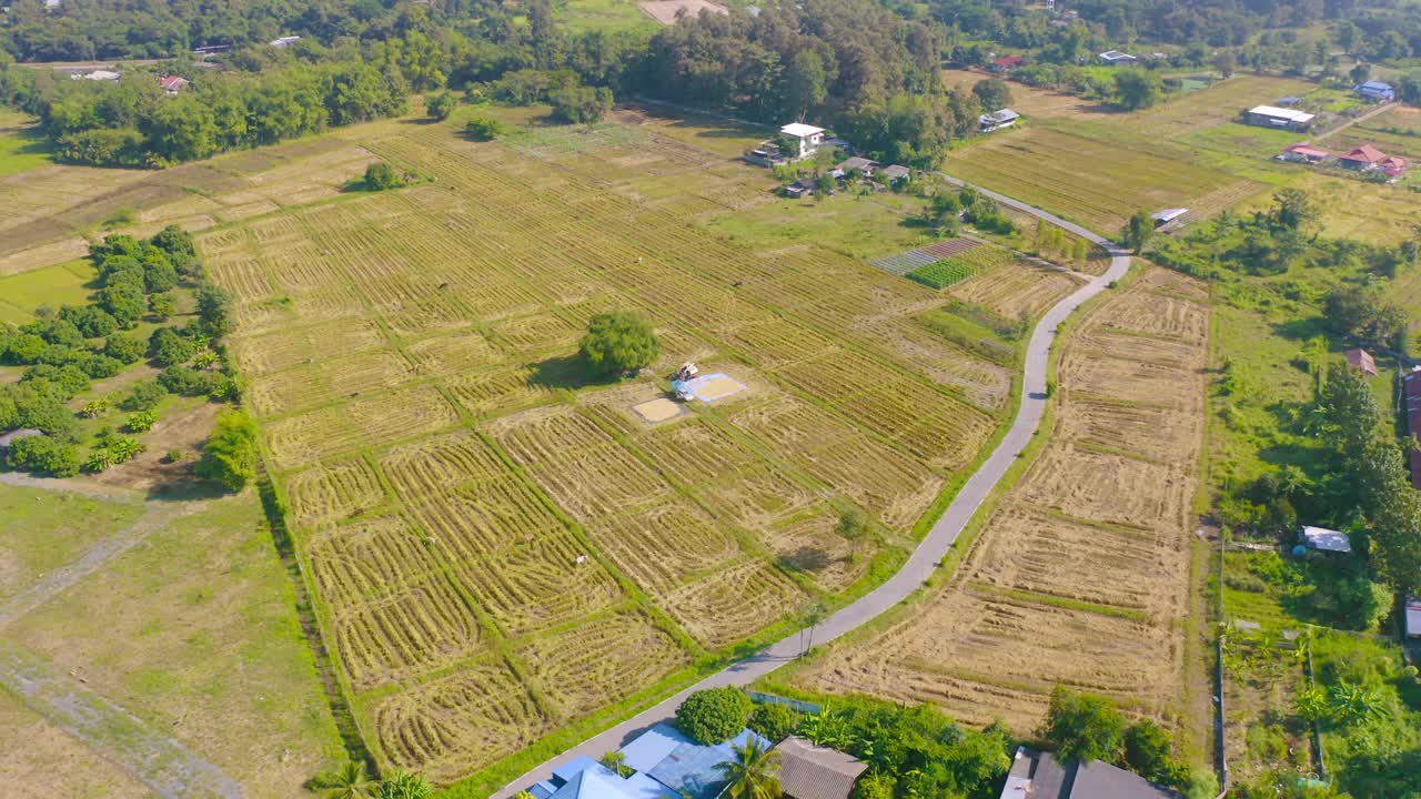 鸟瞰新鲜水稻，绿色农田在农村或农村地区在亚洲。自然景观背景。视频素材