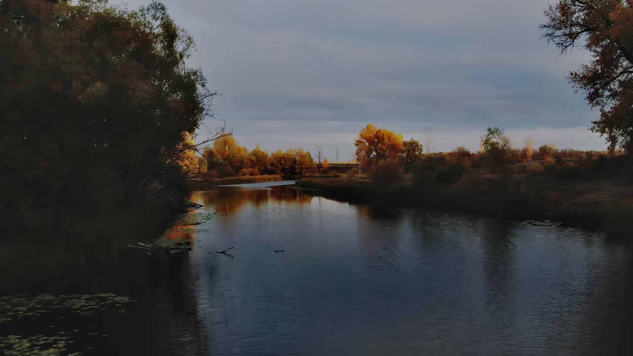 直升机飞过湖面，树木和草芦苇倒映在黑暗的水中。橘红色和深红色的树叶，蓝色的天空，金色的秋天。农村风景优美的风景。4 k, ProRes视频素材