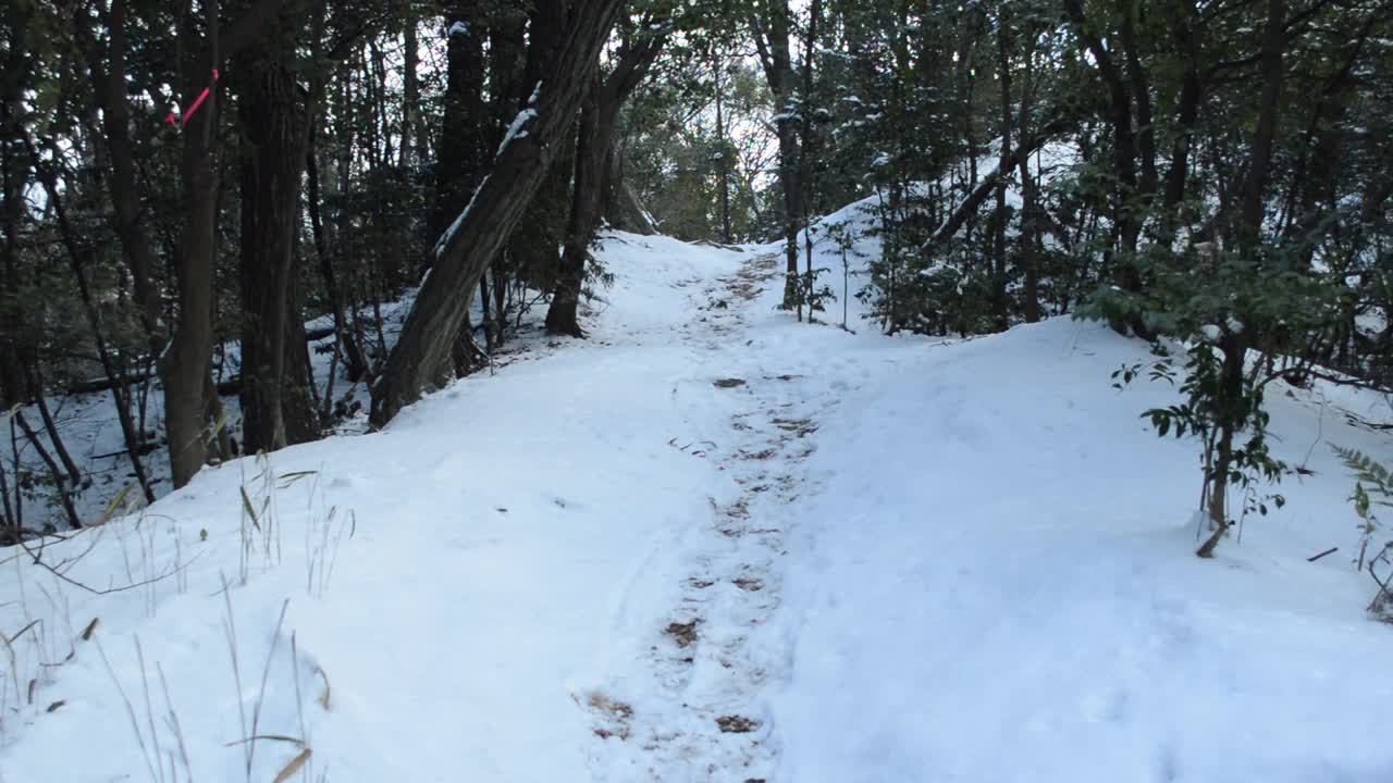 阳光穿过白雪覆盖的小径上的树叶形成了对比。视频素材