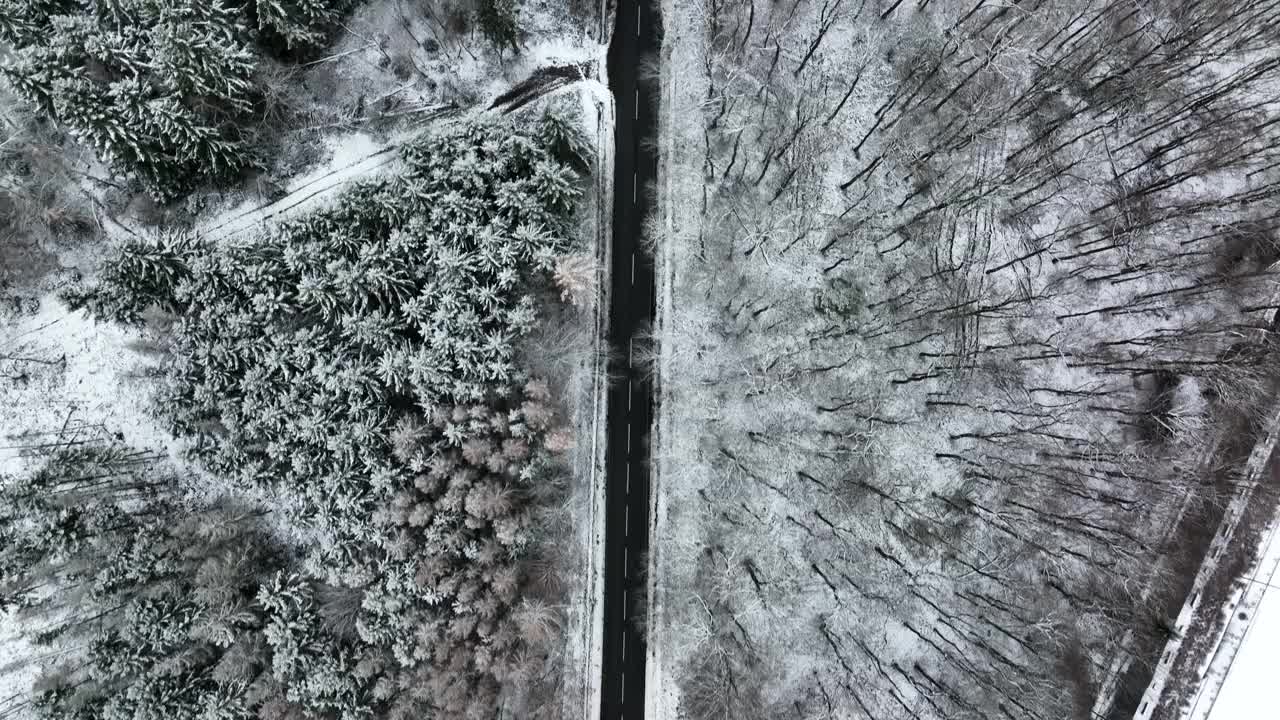 冬天穿过森林的乡间小路视频素材