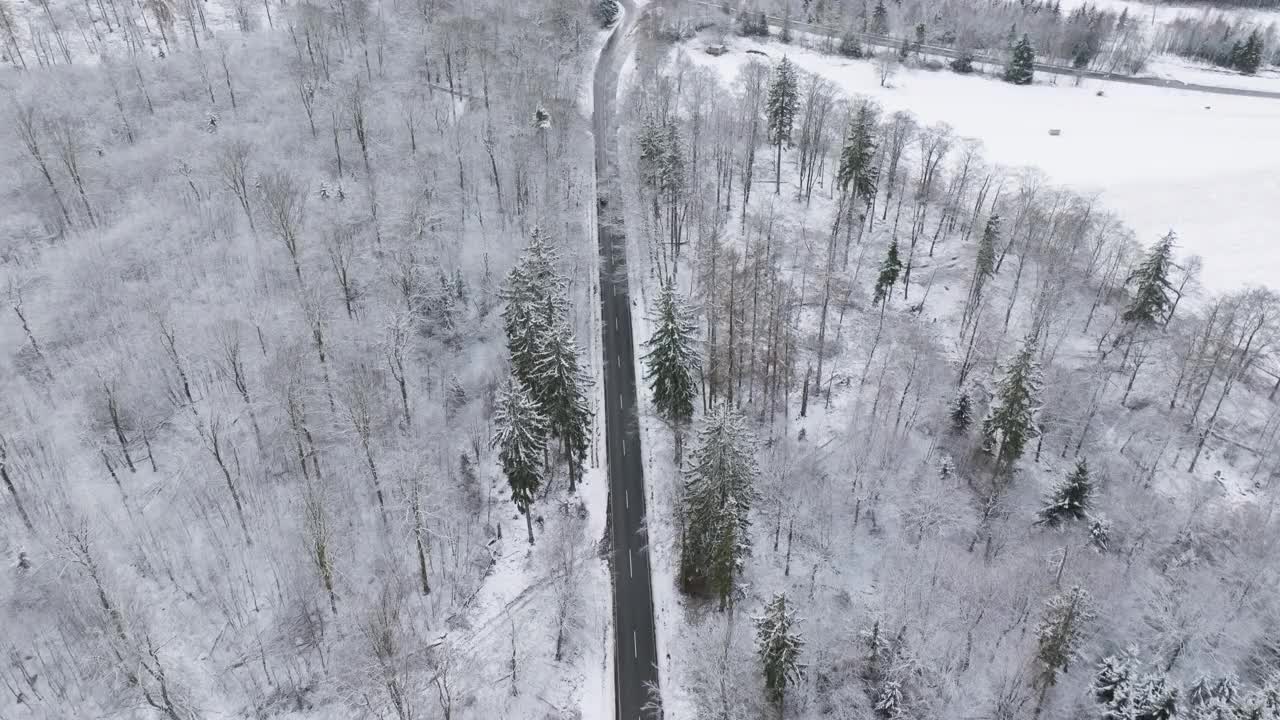 冬天穿过森林的乡间小路视频素材