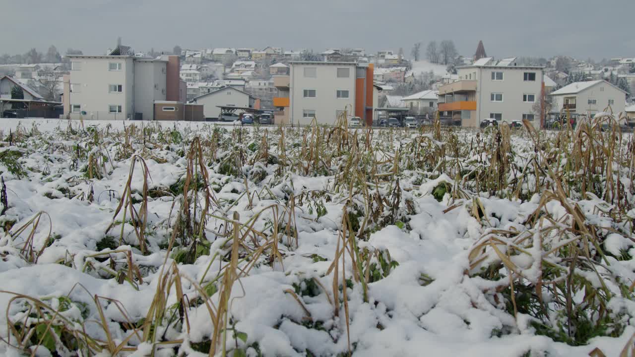 小城镇的住宅建筑和白雪覆盖的田野视频素材