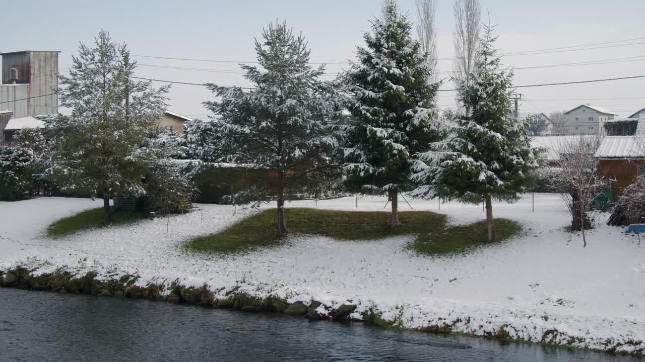 冬天河岸上积雪覆盖的火树视频素材