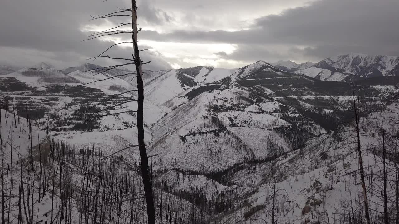 在白雪覆盖的山上燃烧的树视频下载