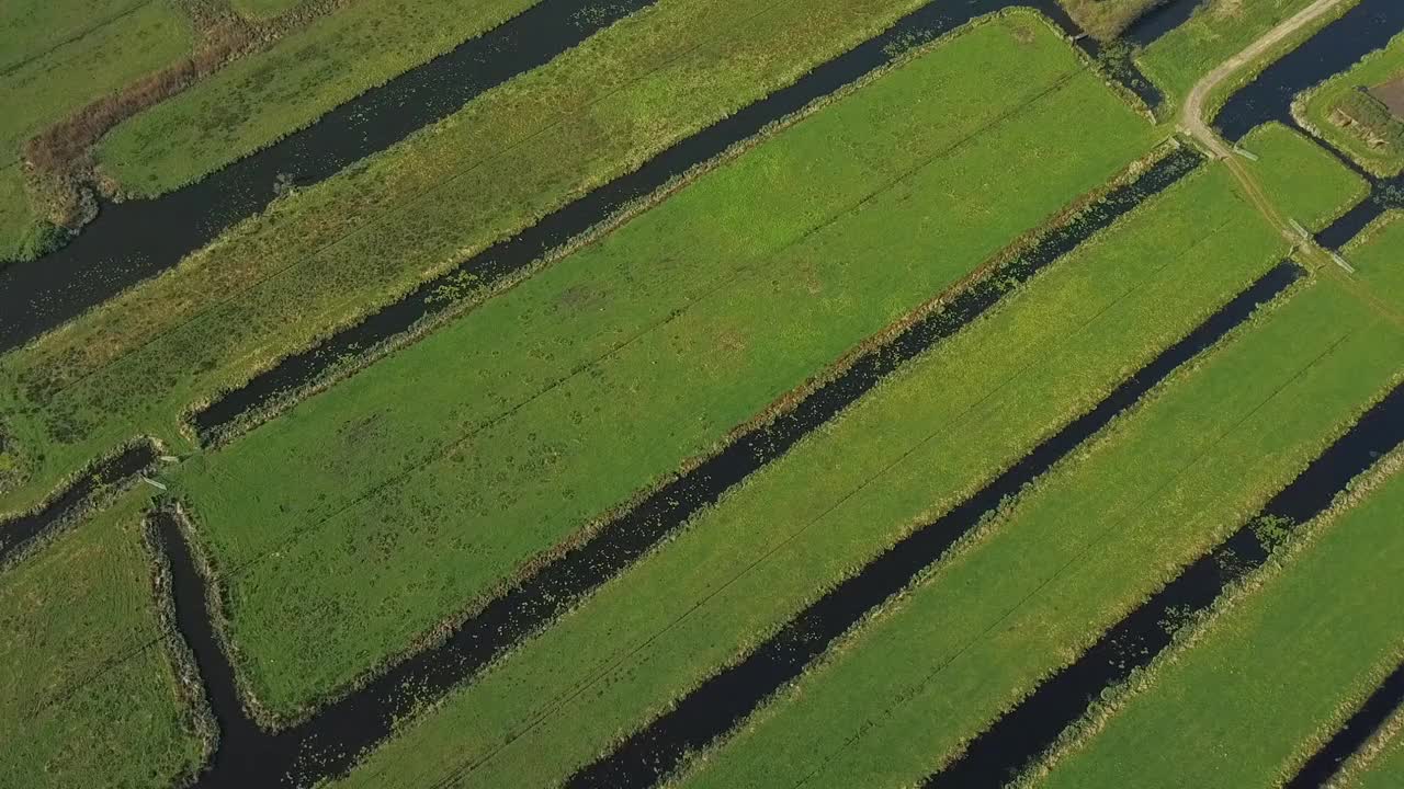 飞越荷兰草地视频素材