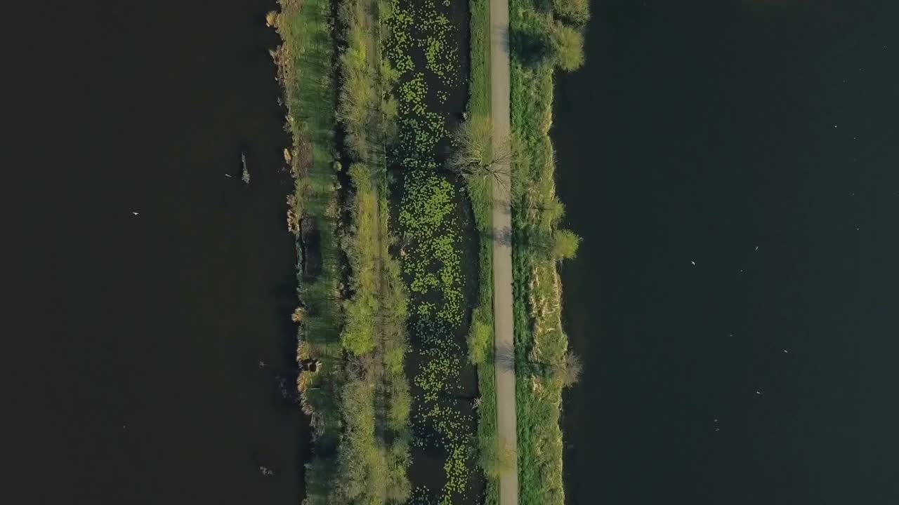 跟随在狭窄道路上飞翔的鸟儿视频素材