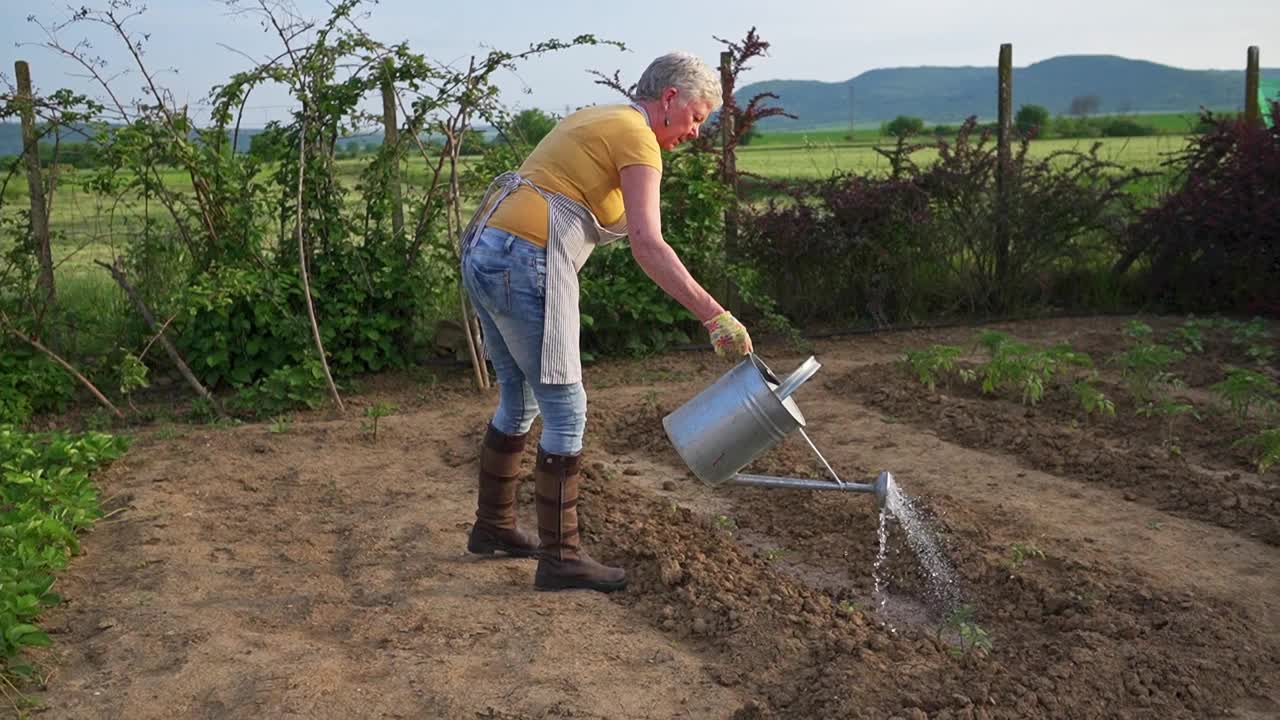 用花园里的喷壶浇水视频素材