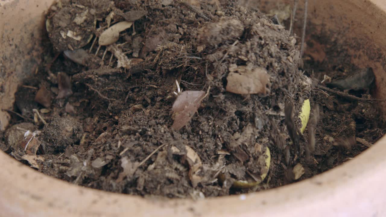 堆肥箱里装的是黑兵蝇幼虫。人类的手将食物残渣转化为土壤肥料。环保可持续家园，废物管理，生态理念。视频素材