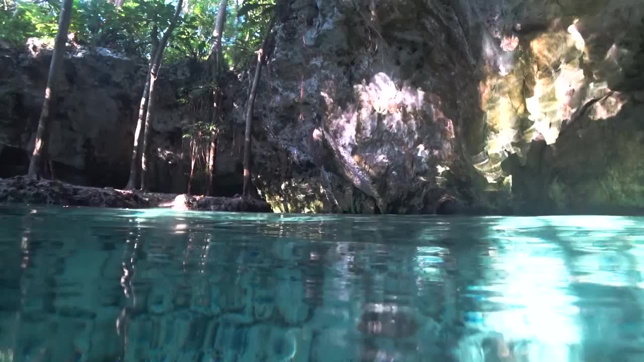 在墨西哥图卢姆的“Gran Cenote”天然泳池中，沿着热带树木游泳，沐浴在阳光中视频素材