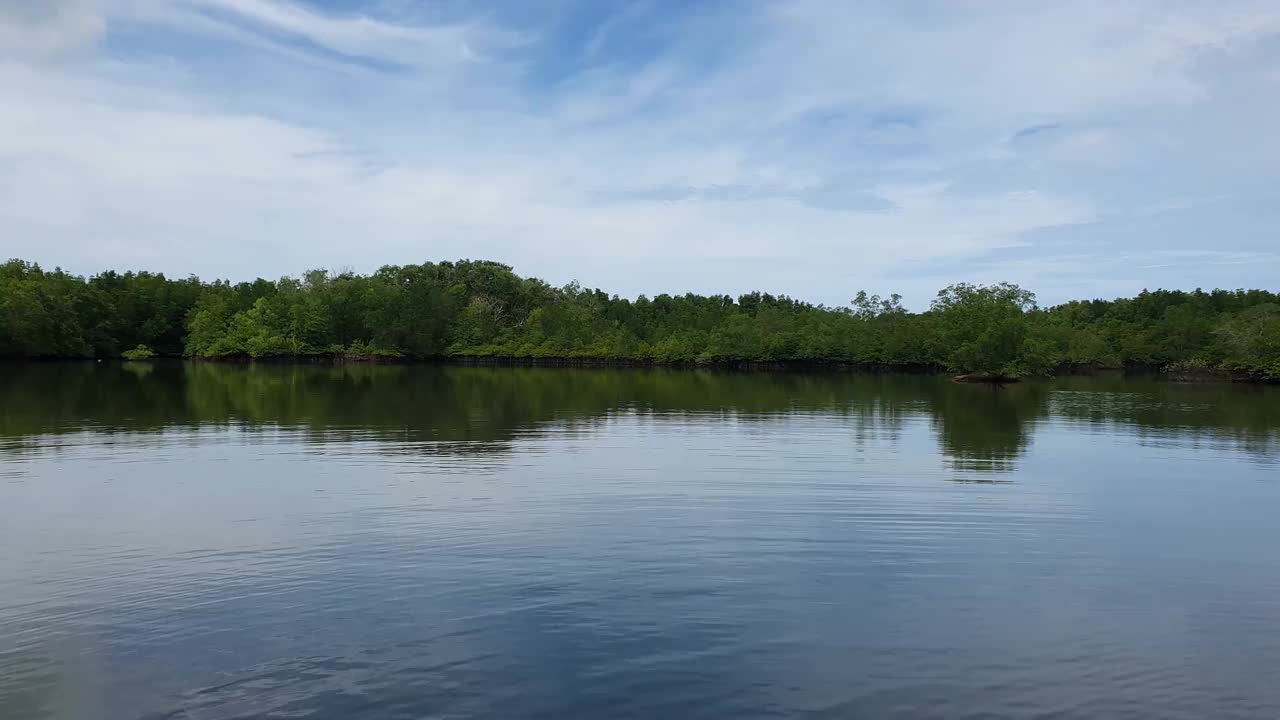 河景红树林之旅视频素材