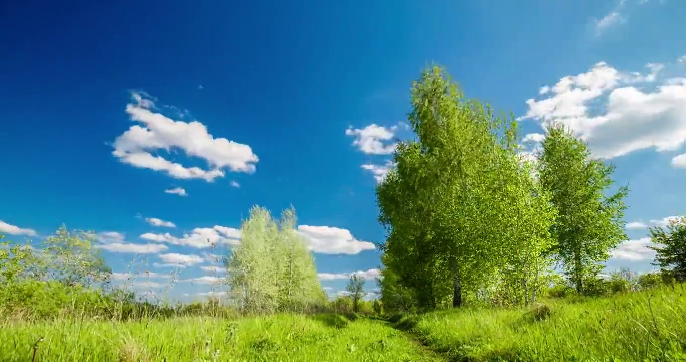 农村夏天的风景。蓝天白云，森林，道路穿过绿色的草地。自然景观荒野4k延时。郊外户外，放松天气，流畅运动，空间风景。视频素材