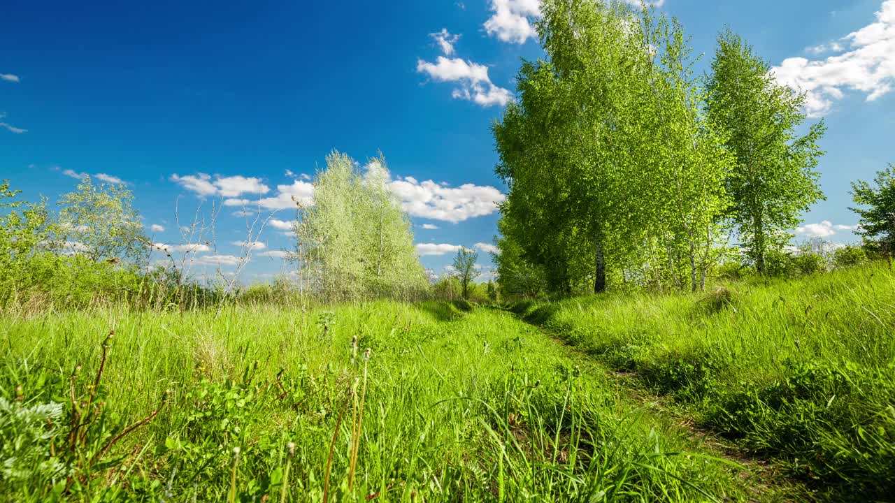 农村夏天的风景。蓝天白云，森林，道路穿过绿色的草地。自然景观荒野4k延时。郊外户外，放松天气，流畅运动，空间风景。视频素材