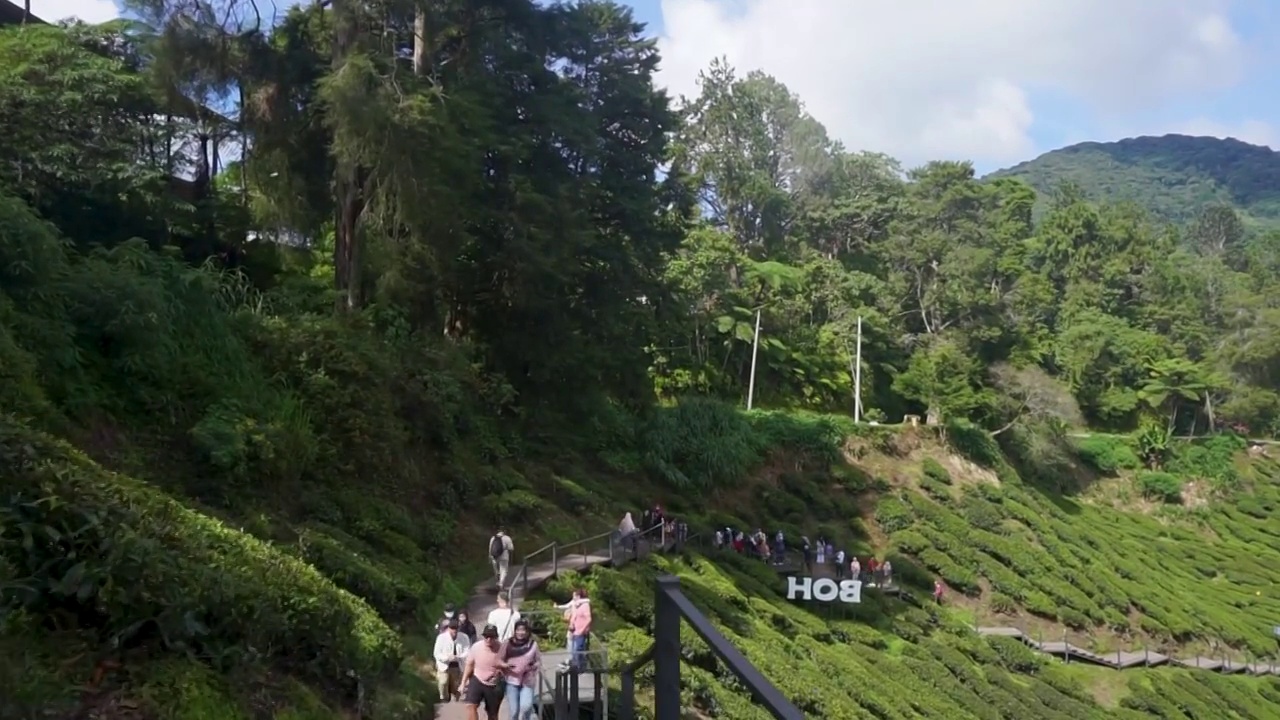 马来西亚卡梅隆高地，人们在享受茶园视频素材