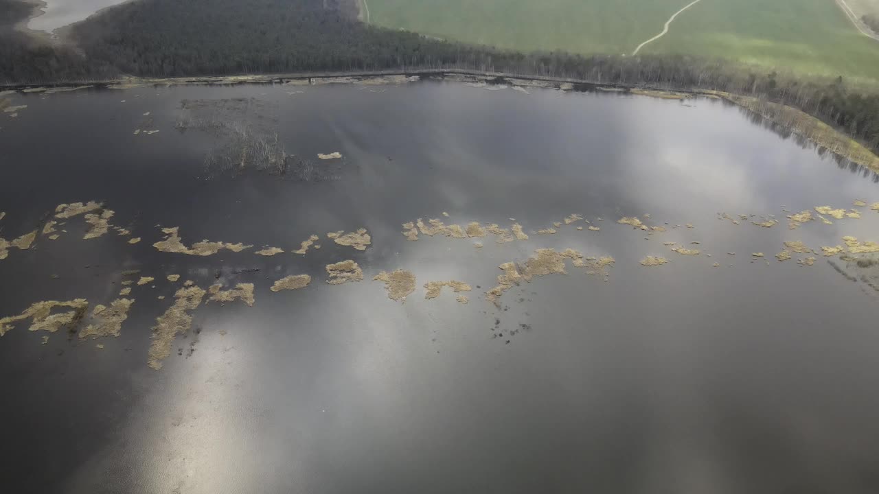 欧洲的湖泊和沼泽。沼泽中湖泊的鸟瞰图。美丽的秋日自然景观。飞过河流，沼泽，绿色的冷杉和黄色的普通树木。空中射击,4 k视频素材