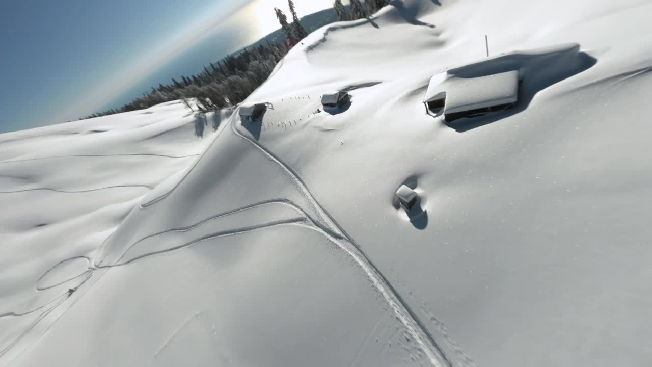 飞行运动FPV无人机惊人的冬季自由式之间的雪冷杉树视频素材