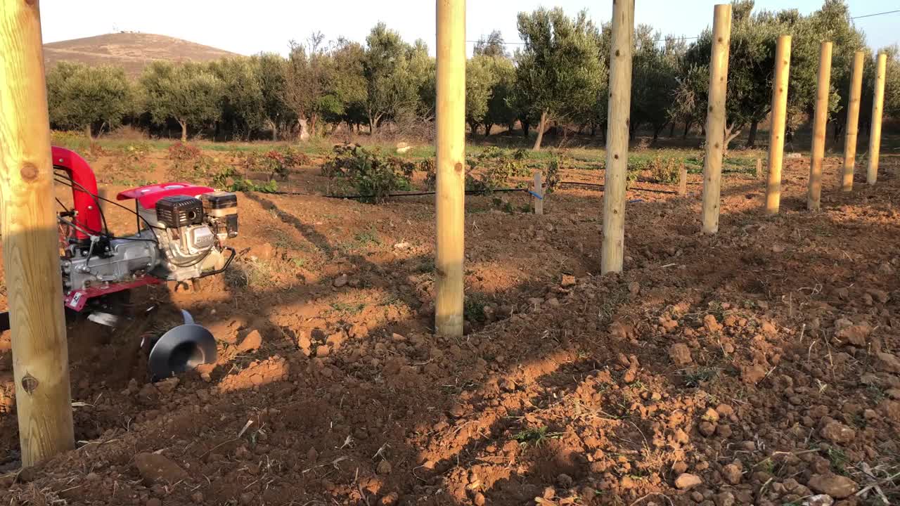 在葡萄园周围用除草机除草的农民。视频下载