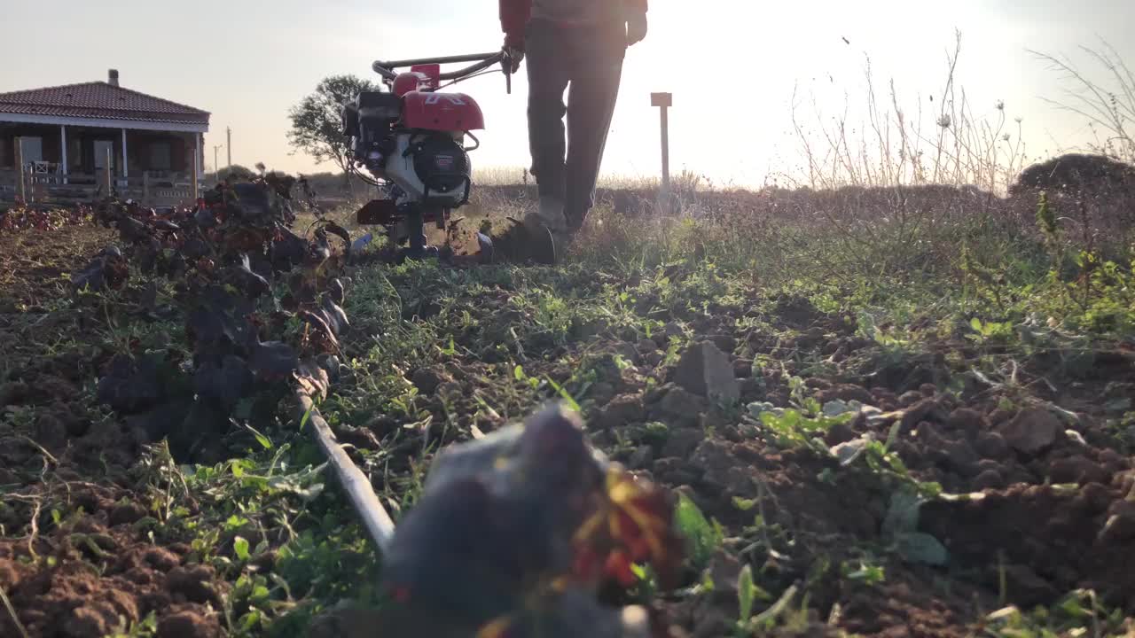 在葡萄园周围用除草机除草的农民。视频素材