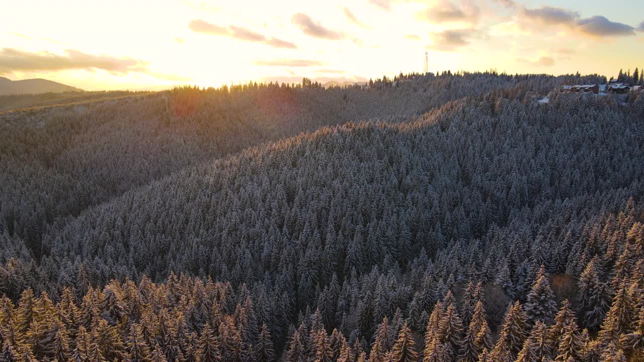 空中冬季景观与小村庄的房子之间的冰雪覆盖的森林在寒冷的山区的晚上视频素材