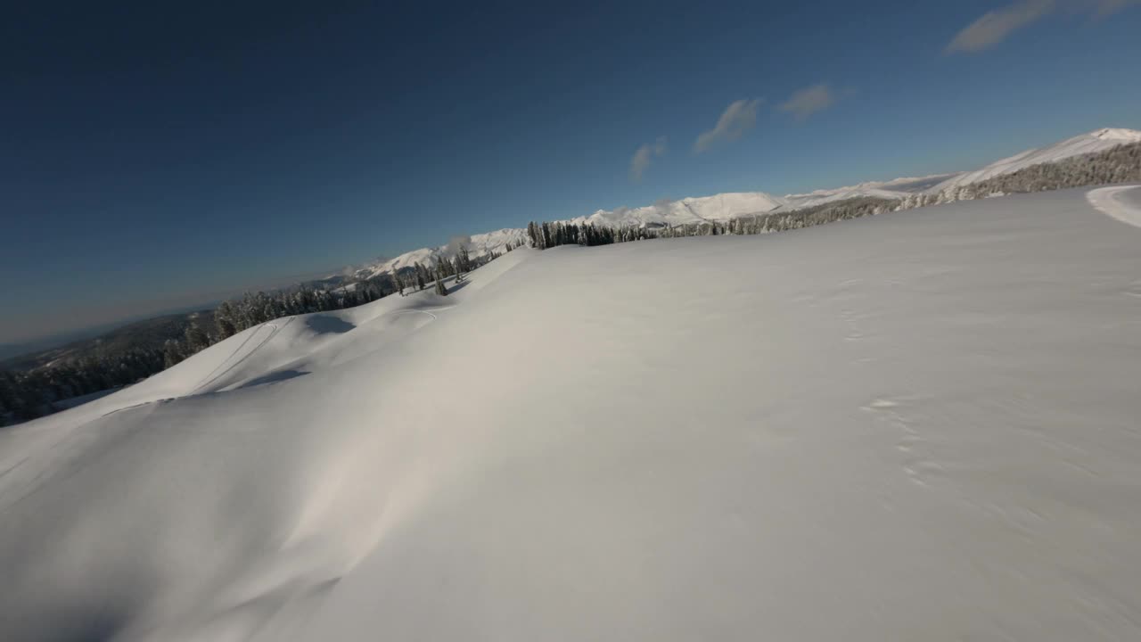 飞行云杉树森林山脉清洁积雪平滑运动FPV无人机电影视频素材