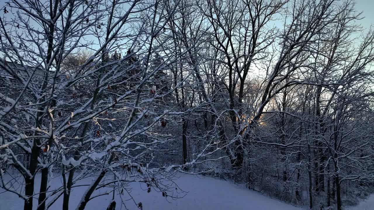 山上的冬季景观，树木被雪覆盖视频素材