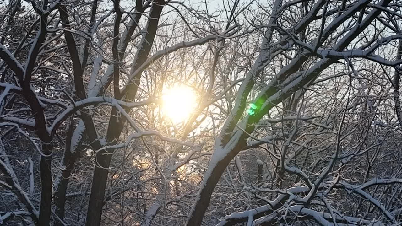 冬光散射，冬liche Lichtstreuung视频素材