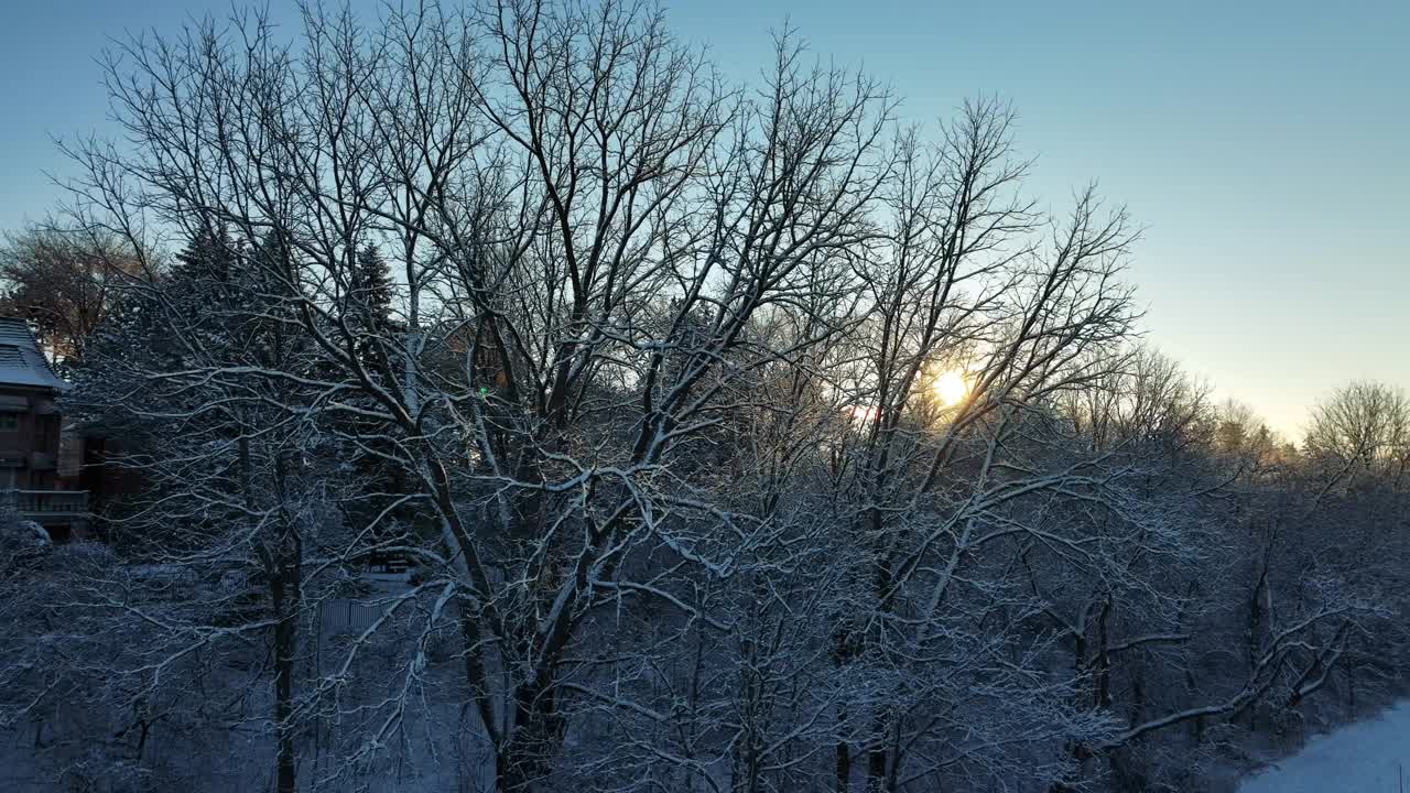 清晨的阳光透过雾和雾树在雪天日出视频素材