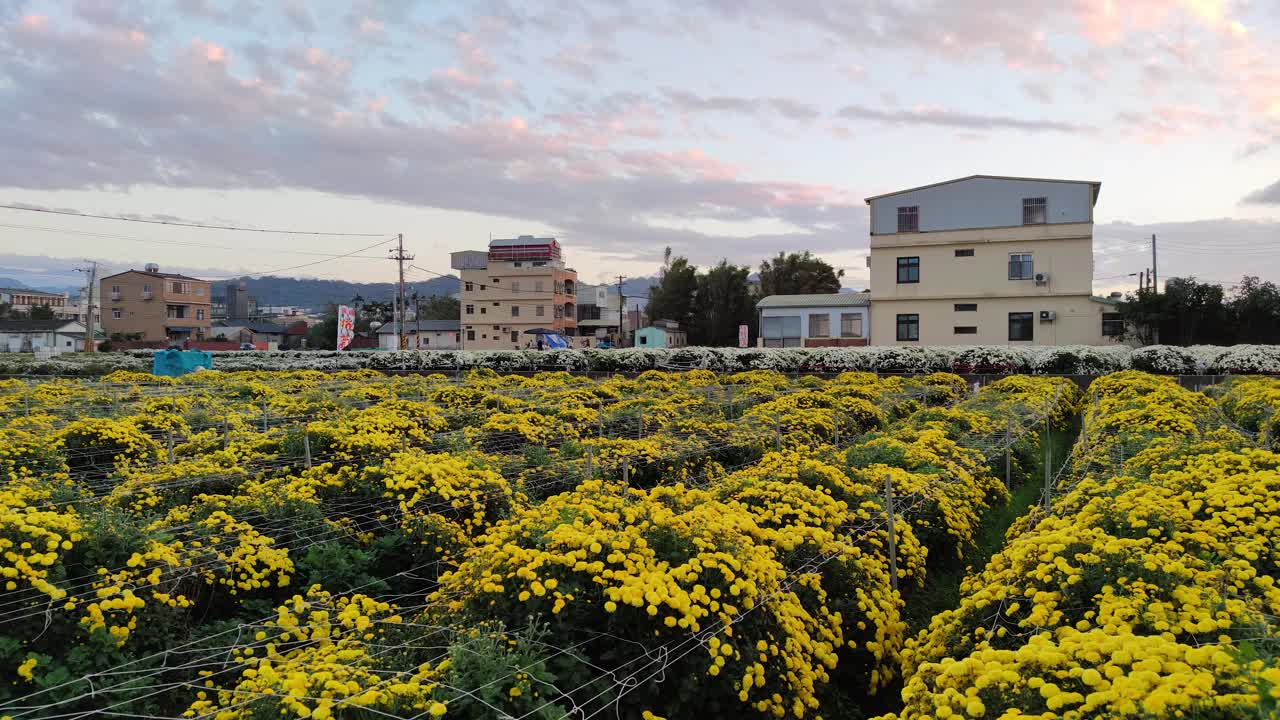 台湾省苗栗县通洛杭居生活节视频素材