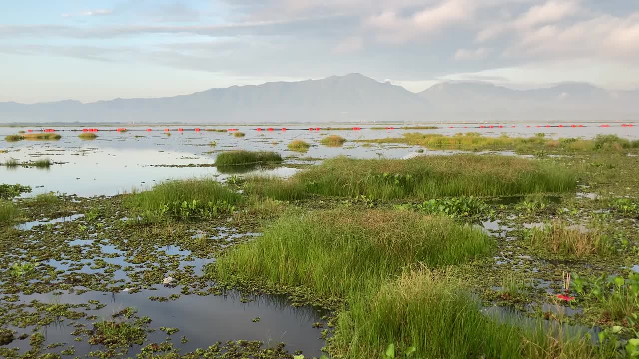 早晨的宁静湖视频素材