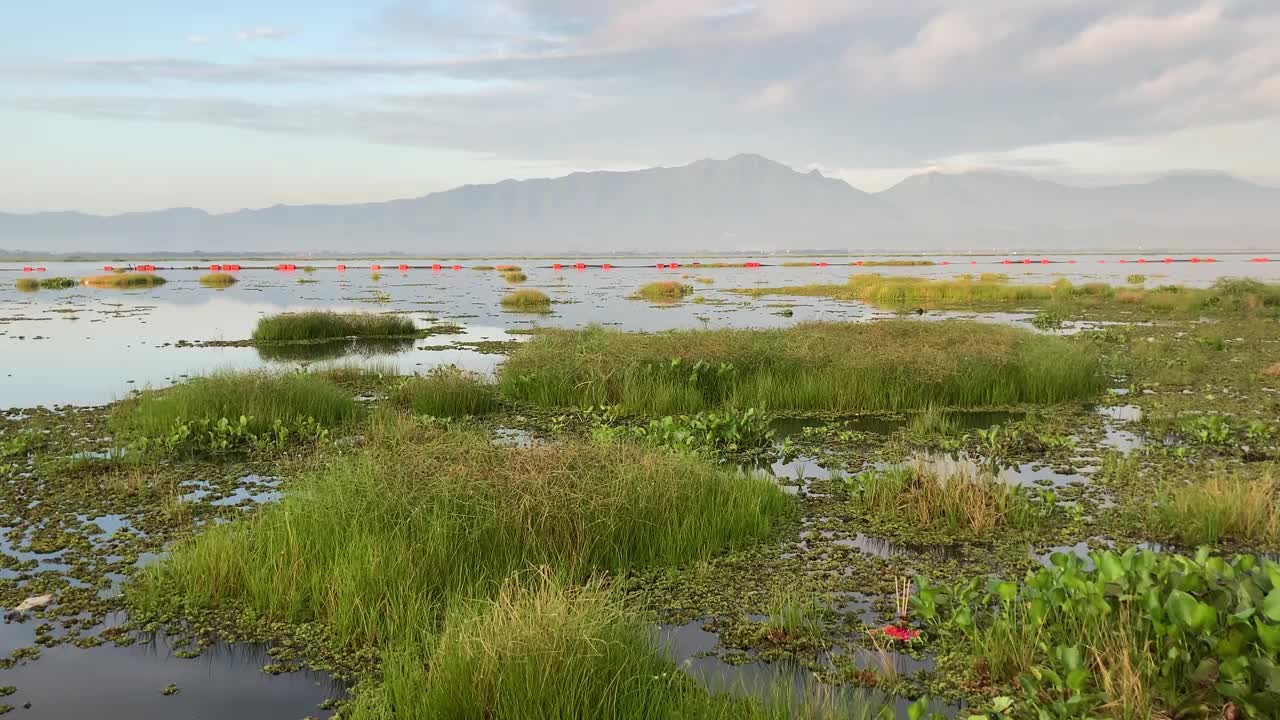 早晨的宁静湖视频素材