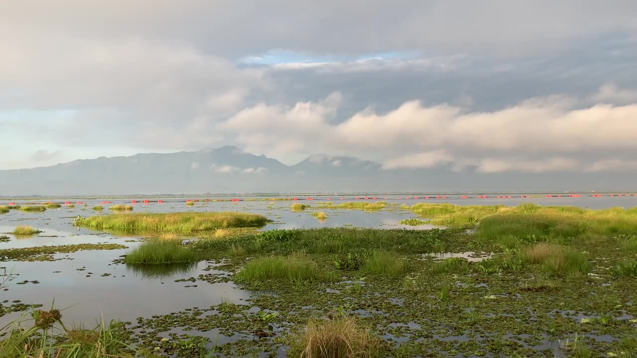 早晨的宁静湖视频素材