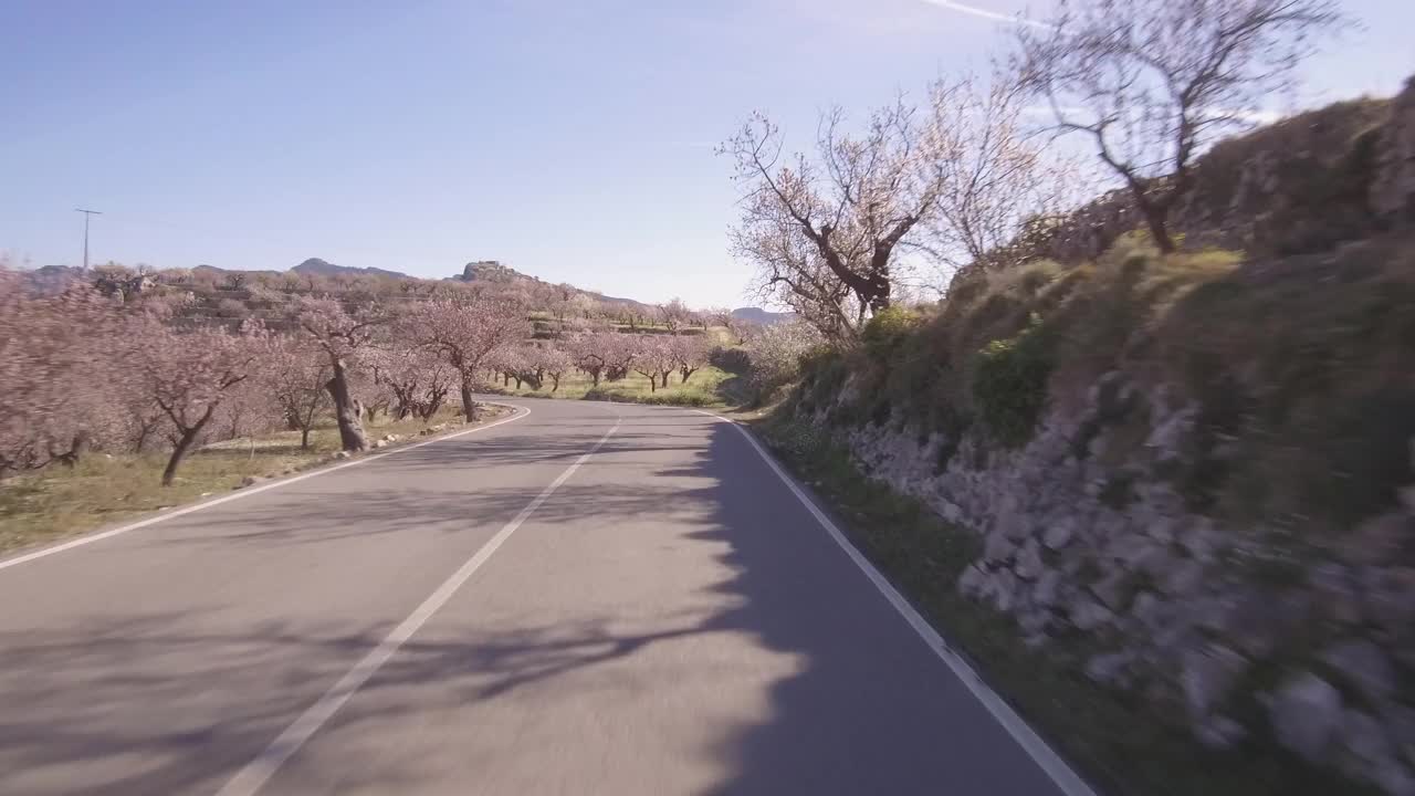 前面的汽车行驶在杏树和森林山和清澈的蓝色天空。视频素材