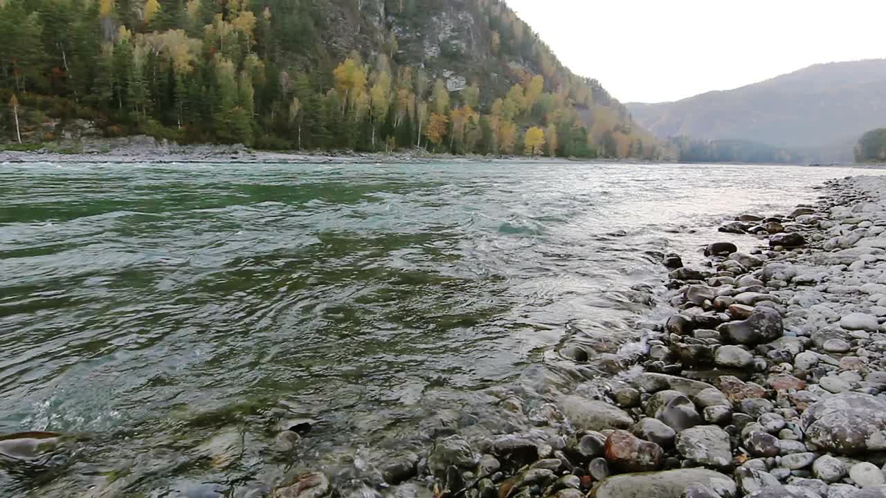 俄罗斯阿尔泰海岸卡顿山河视频素材