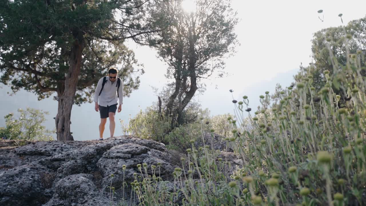 Guy traveler走过山上的石头，绕着树走。视频素材