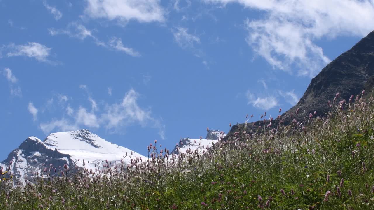 山景随风飘动，草随风飘动，视频素材