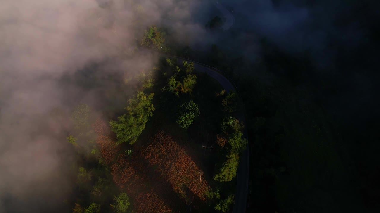 4K森林中朦胧日出的鸟瞰图。泰国的热带雨林视频素材