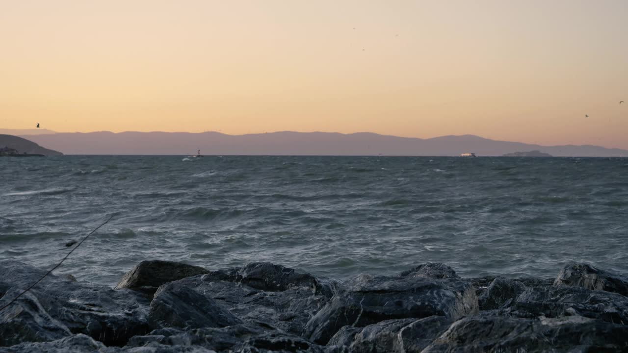 鸟儿在波涛汹涌的海面上飞翔视频下载