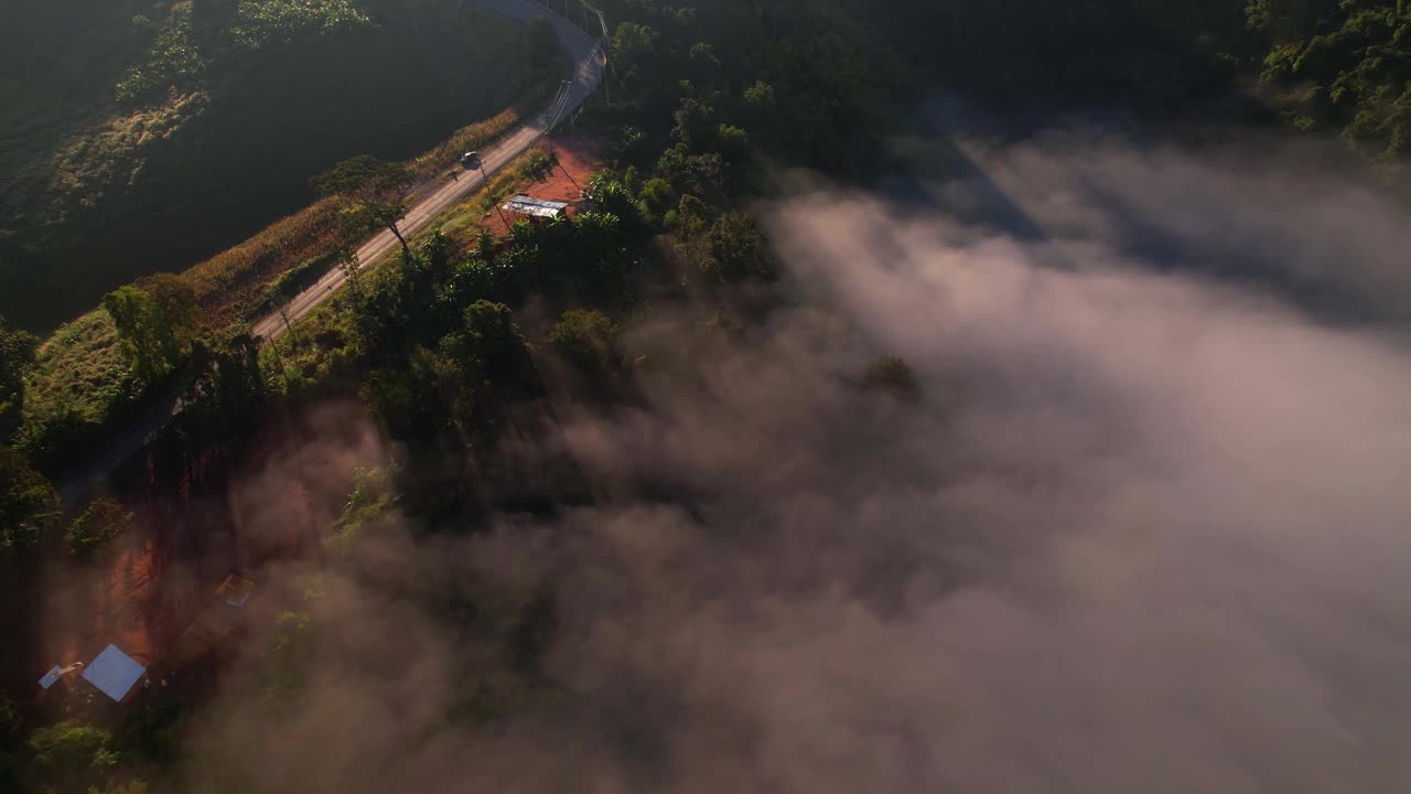 4K雾中的高山路。烟雾弥漫的热带森林。无人机鸟瞰图视频素材