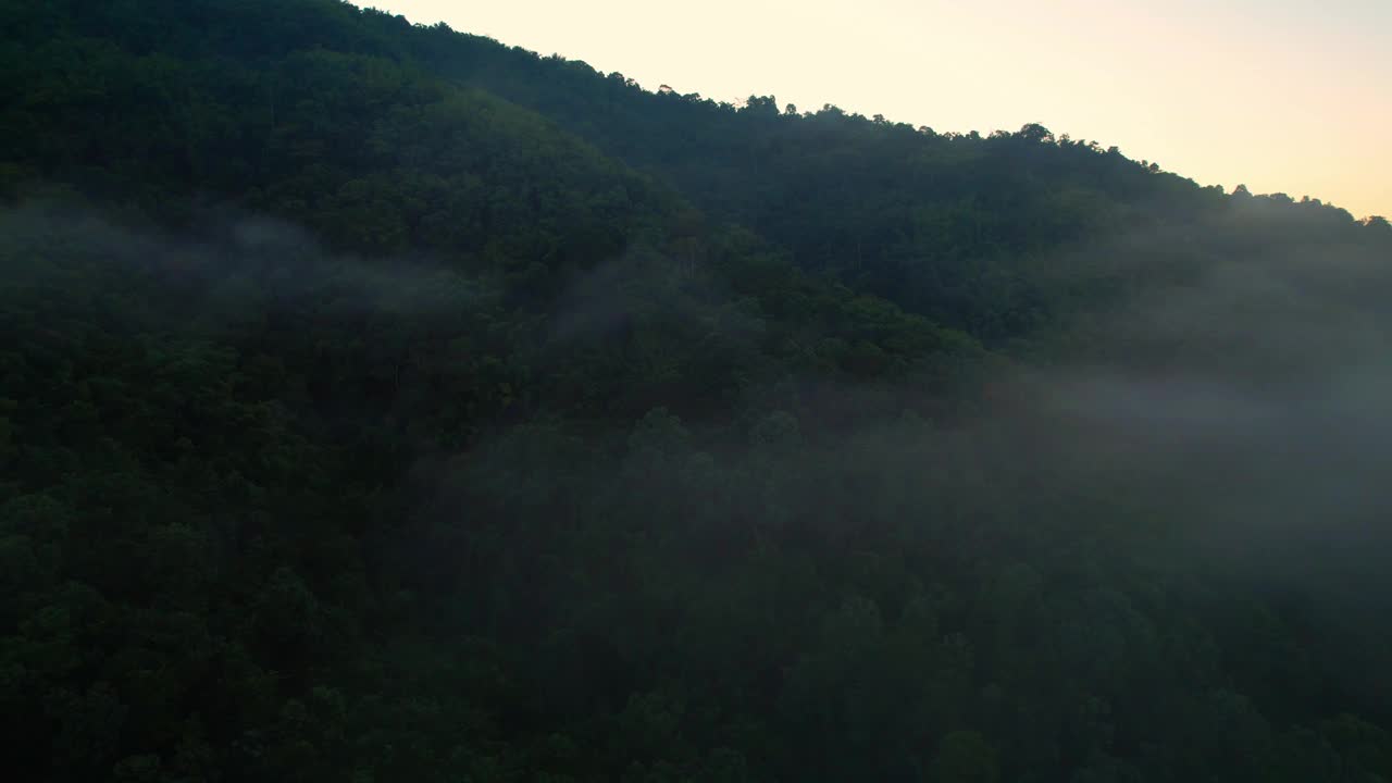 4K森林中朦胧日出的鸟瞰图。泰国的热带雨林视频素材