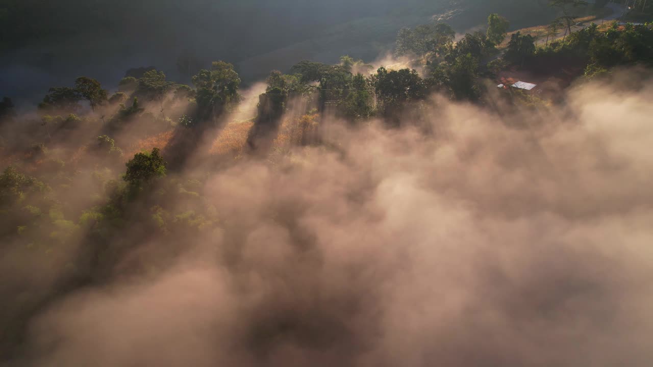 4K森林中朦胧日出的鸟瞰图。阳光从背后的山，热带雨林在泰国视频素材