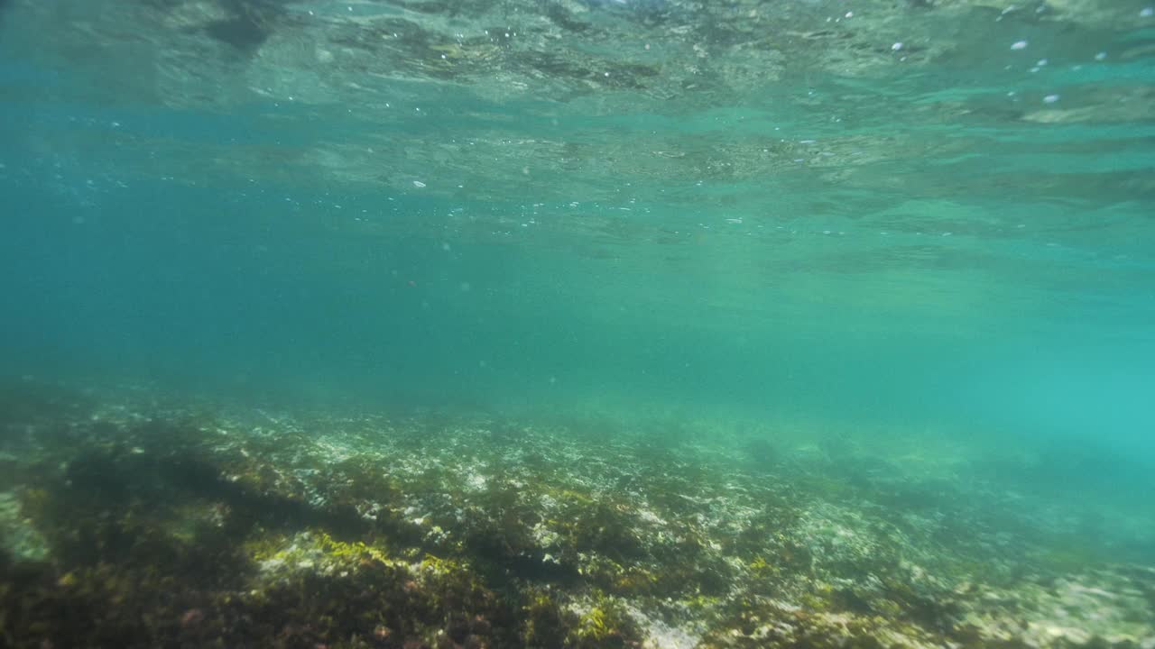 水下波视频素材