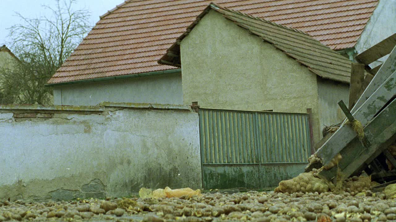 在村庄外的栅栏和建筑物附近，被毁坏的土豆车挡住了乡村道路的广角。爆炸。1967年庞蒂亚克gto肌肉车通过火焰。视频素材