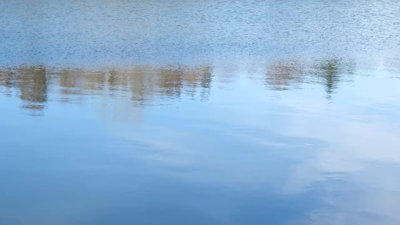 蓝色海水中树木的倒影。平静清澈的水背景。平静的蓝色湖水视频素材