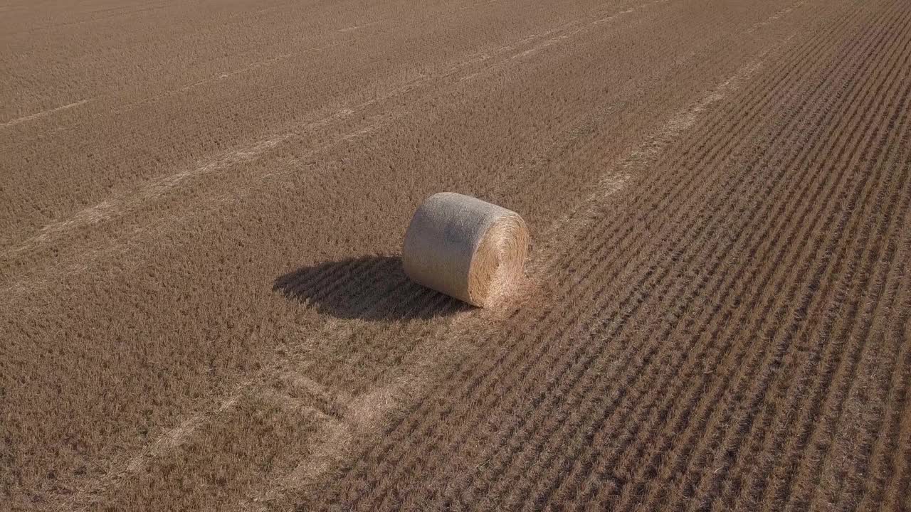 金色的草堆在空中盘旋视频素材