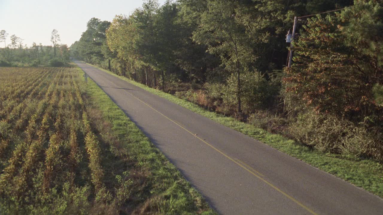 在农田、田野和树林之间的道路或街道的高角度。可能是乡间小路。电线杆。树。1979年福特f系列卡车后置购物车或床行驶在街道上。视频素材