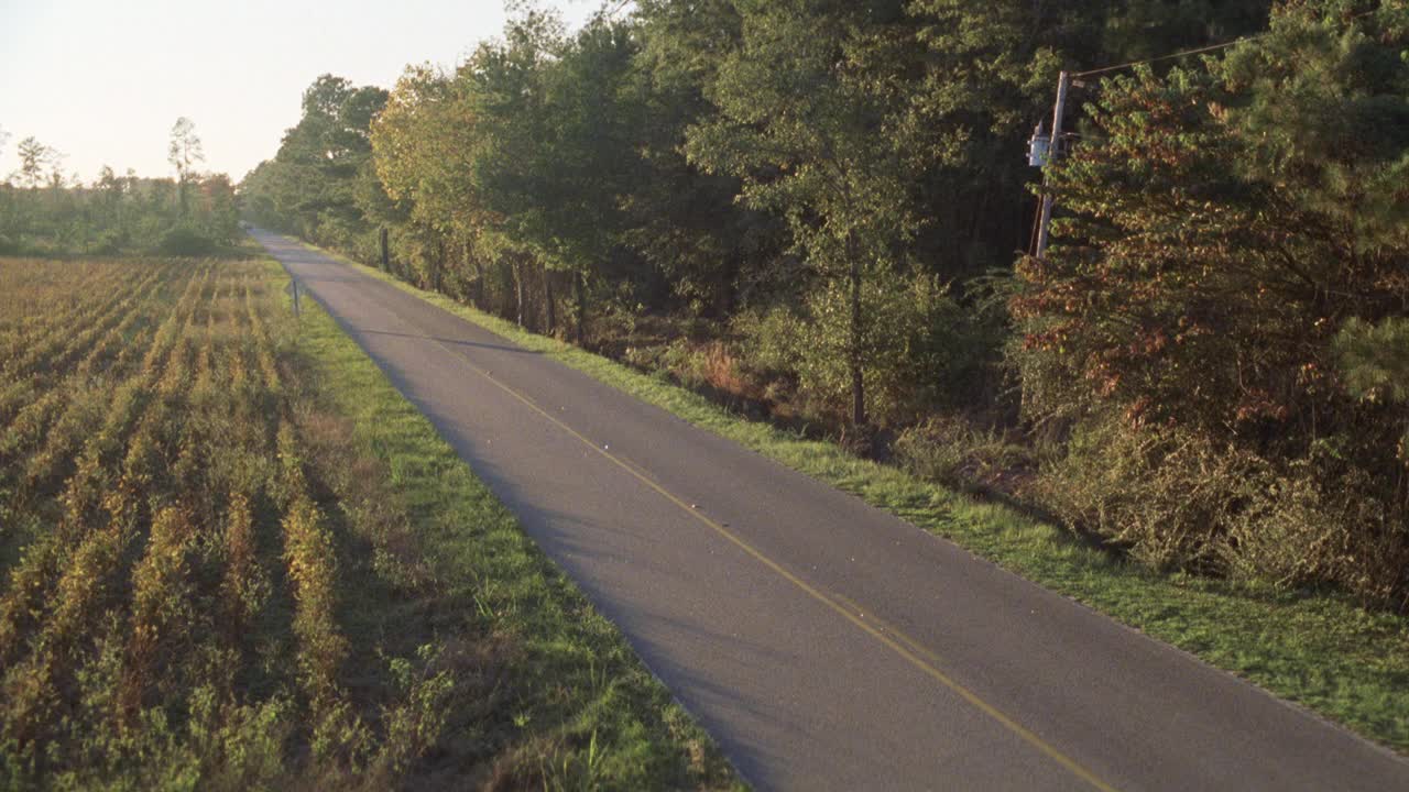 在农田、田野和树林之间的道路或街道的高角度。可能是乡间小路。电线杆。树。1979年福特f系列卡车后置购物车或床行驶在街道上。可能是农村地区。视频素材