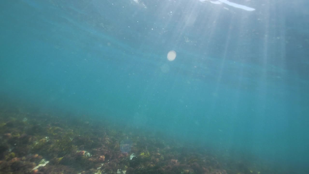 水下波视频素材