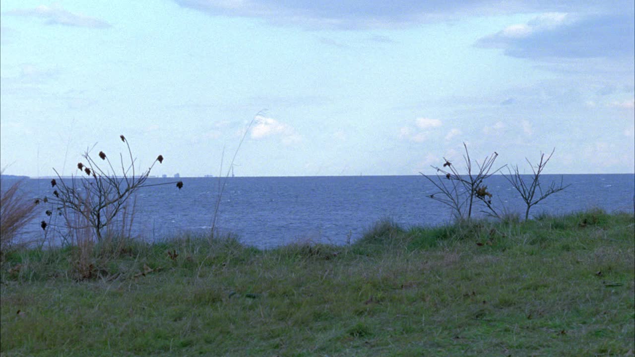 水体、海湾、湖泊或海洋的广角，前景为平原或草地。远处的城市天际线。视频素材