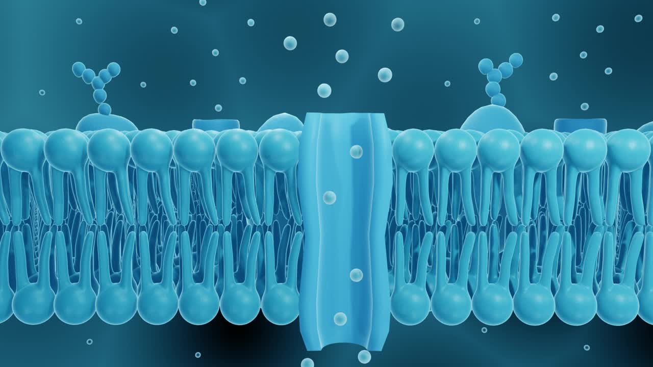细胞膜中的离子通道视频素材