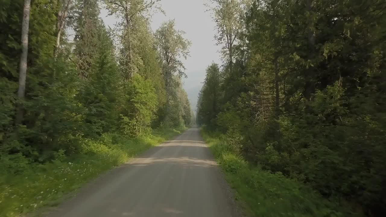 密林道路低空中POV视频素材