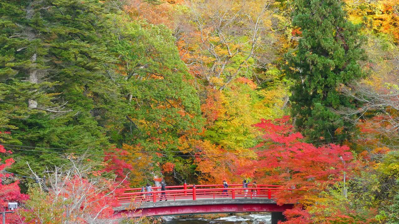 秋天，日本东北地区青森县黑石市的中野山-桃面山的红桥和富道溪视频素材